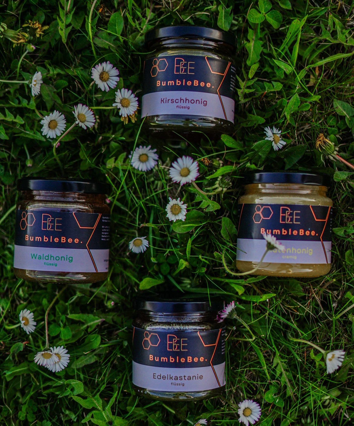 4er - Bündel Honig